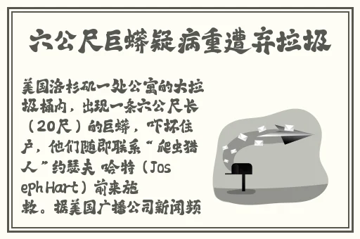 国产精品拍天天在线